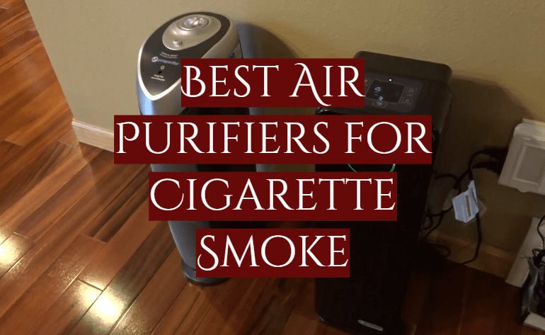 best air purifier for cigarette smoke under $100
