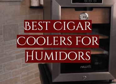 Best Cigar Coolers for Humidors