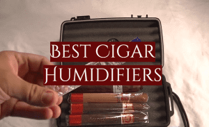 Read more about the article 5 Best Cigar Humidifiers