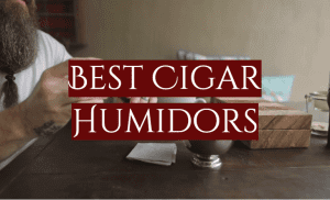 Read more about the article 10 Best Cigar Humidors
