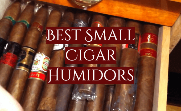 Top 5 Best Small Cigar Humidors [2022 Review] - SmokeProfy