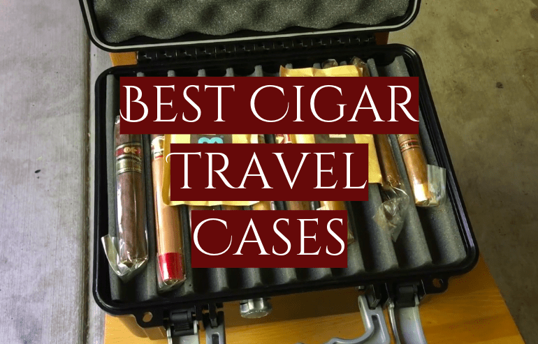 Top 5 Best Cigar Travel Cases [2021 Review] - SmokeProfy
