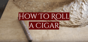 Read more about the article How To Roll a Cigar at Home?