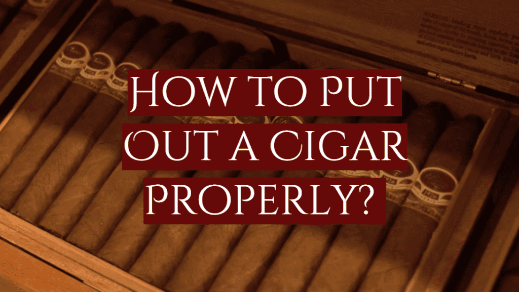 How to Put Out a Cigar Properly [Guide] - SmokeProfy