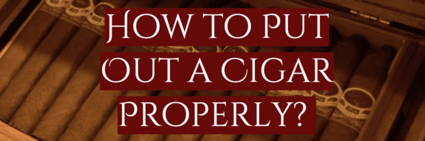 How to Put Out a Cigar Properly?