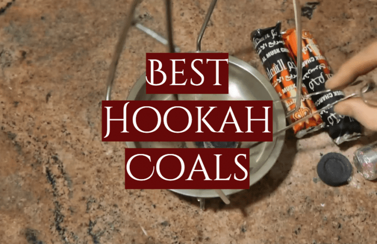 Top 5 Best Hookah Coals [2021 Review] SmokeProfy