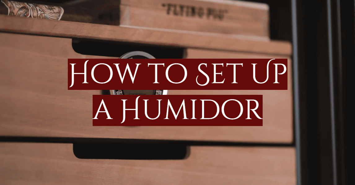 How to Set Up a Humidor (Guide for Beginners) SmokeProfy