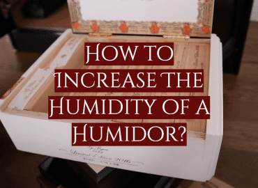 How to Increase The Humidity of a Humidor?