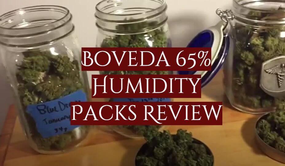 You are currently viewing Boveda 65% Humidity Packs Review