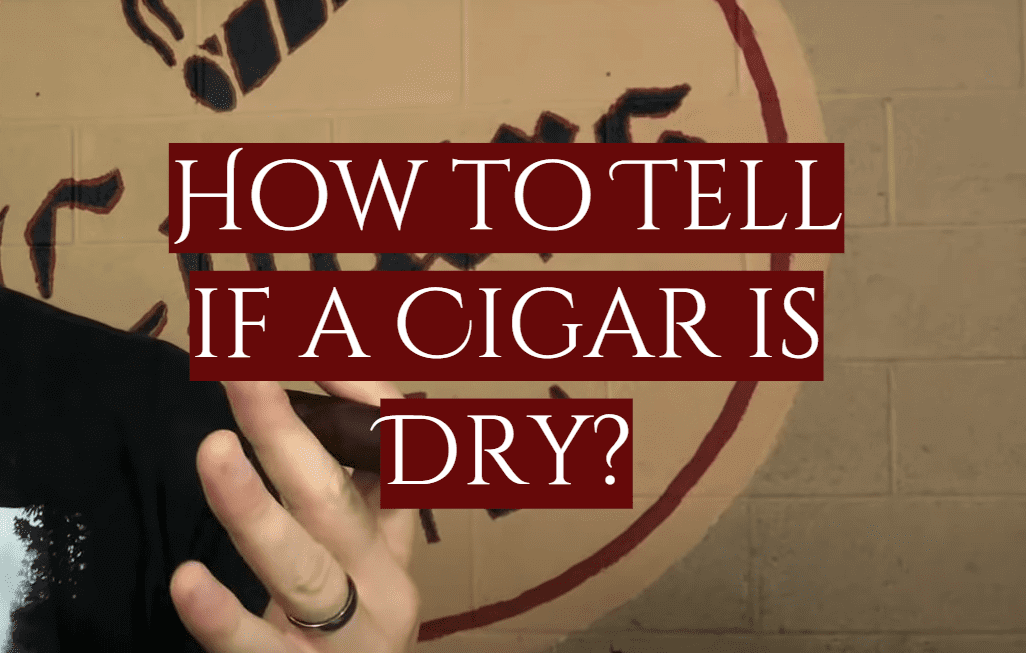 How to Tell if a Cigar is Dry? SmokeProfy