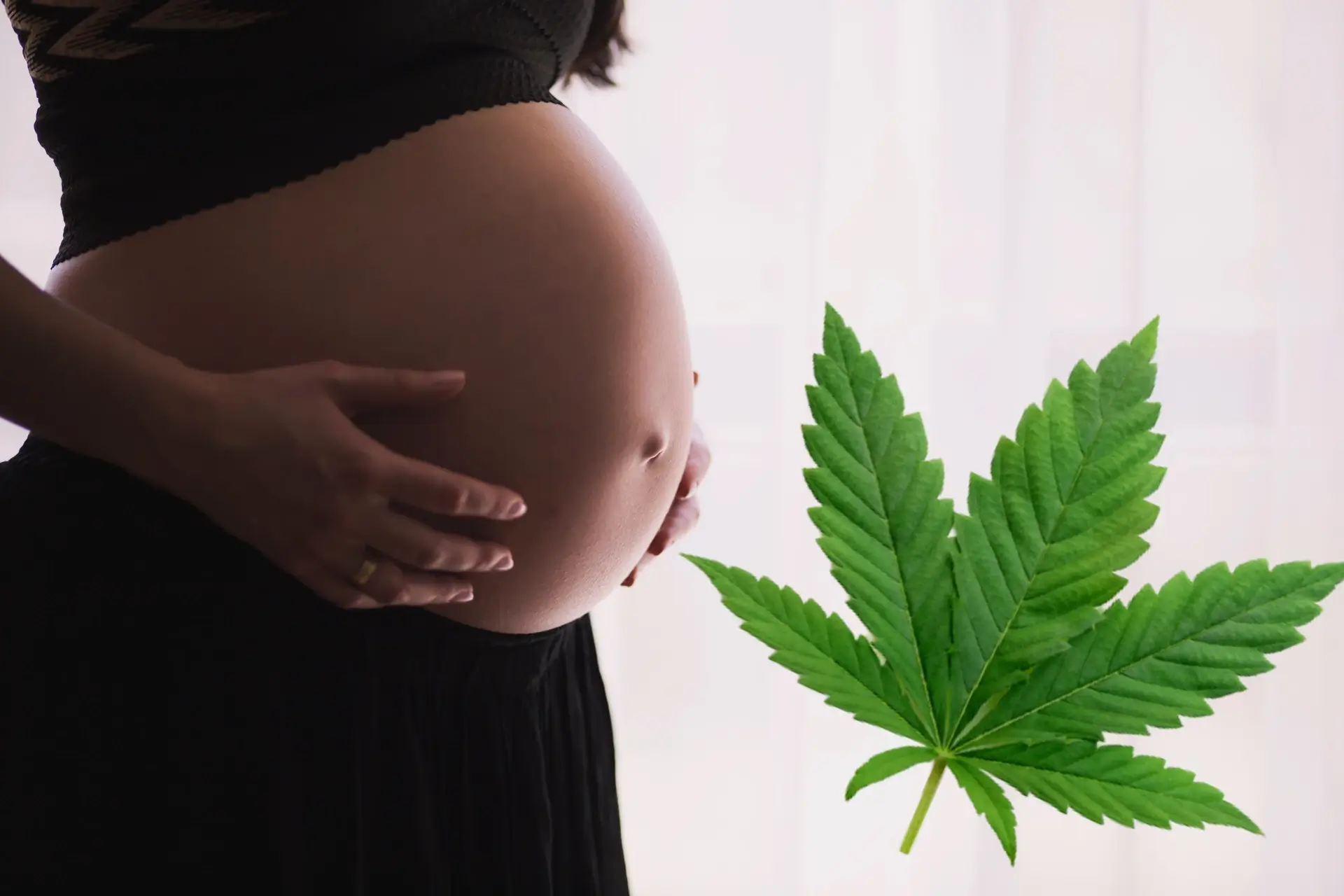 You are currently viewing Smoking Weed While Pregnant